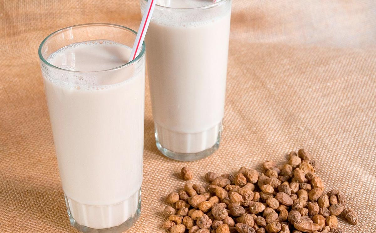 tours in valencia horchata tour