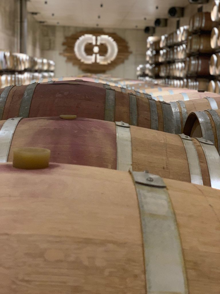 Wine tour Valencia