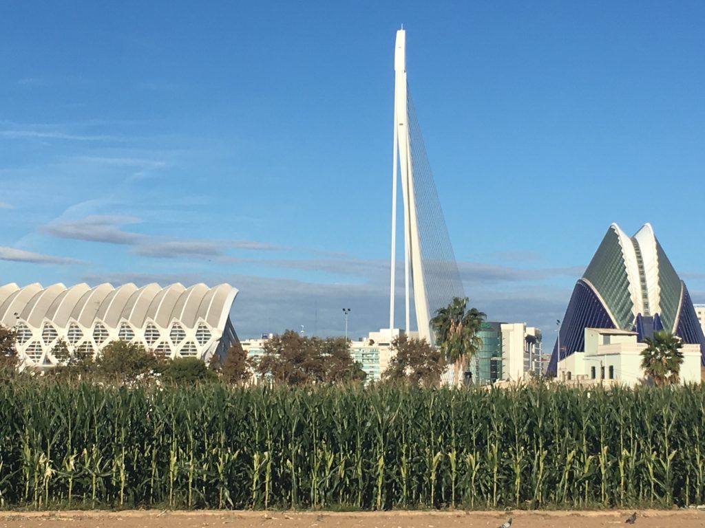City of arts and sciences Valencia
