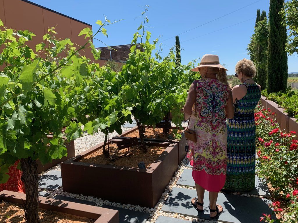 shore excursion Valencia to wineries private tour