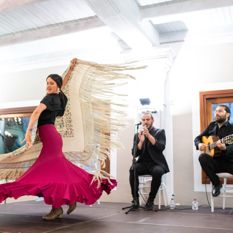 Flamenco Valencia