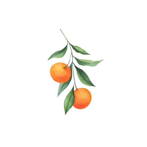 Sinaasappels Valencia Tips