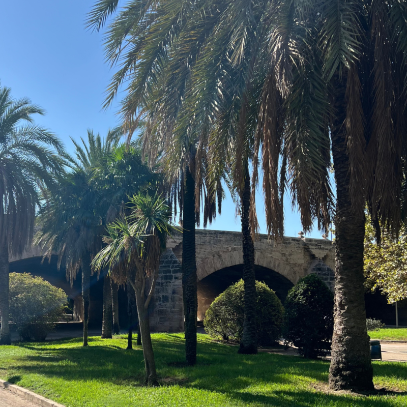 green capital valencia turia gardens