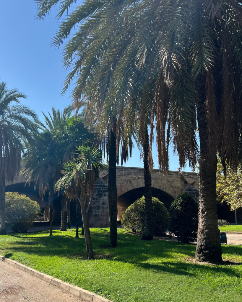 green capital valencia turia gardens